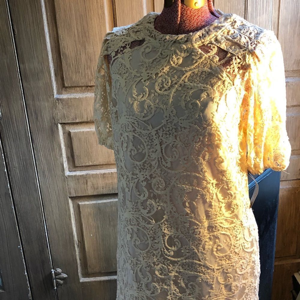 New York & Co Dress